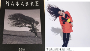 そう言われてみれば、、もうそれにしか見えない！！（笑）８選