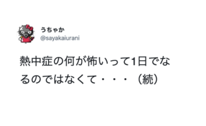 怪談話よりよっぽど怖いわ・・これが『熱中症』の恐ろしさだ７選