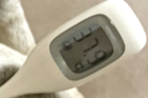 「最強の仮病方法を見つけました。」投稿された画像をみてみたら・・・マジか。