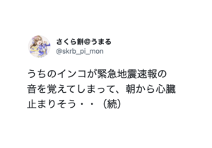 天才かよ（笑）インコをめぐるとんでもエピソードに笑いと驚きが止まらない・・８選