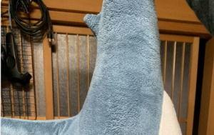 イケアの『サメのぬいぐるみ』をおばあちゃんに預けたところ、戻ってきた姿に吹いた・・・（笑）