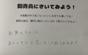 水族館に寄せられた「お魚たちのことおいしそうと思ったことはありますか？」という質問。→これに対し飼育員さんは・・・（笑）