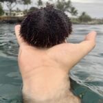 そう言われたら「あかん、もうそれにしか見えない(笑)」画像8選