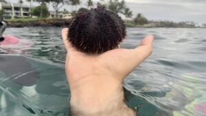 そう言われたら「あかん、もうそれにしか見えない（笑）」画像８選