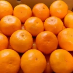 「開ける前に言えよ。」みかんの箱を開けたら・・・衝撃の事実