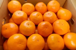 「開ける前に言えよ。」みかんの箱を開けたら・・・衝撃の事実