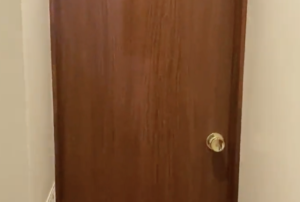 「心臓に悪いけど過去一テンション上がったトイレかもしれん」→投稿された動画を見てみたら・・・うわぁぁぁああ！