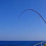 ゴミが釣れたのかと思ったら・・・えぇぇぇええ?!まさかの事態に目を疑った、、!