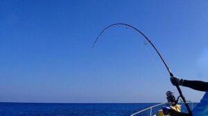 ゴミが釣れたのかと思ったら・・・えぇぇぇええ？！まさかの事態に目を疑った、、！