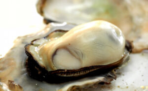 『本当にあった怖い話』友人複数で生牡蠣を食べて翌日全員腹痛と発熱と嘔吐。全員ノロかと思ったら・・・えっ