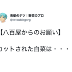 覚えておくが良い!!八百屋が教える『野菜豆知識』がマジでためになる!7選