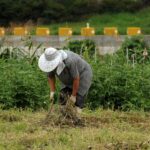 自分史上最高に震えてる。「隣のオジサンに朝の挨拶を無視され続けて数年経つ。」と近所の人に話したら・・・