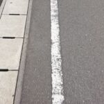 「全部で200匹くらい」側溝に溜まっていたのは・・・ウォアアアアアア!!
