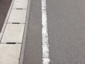 「全部で２００匹くらい」側溝に溜まっていたのは・・・ウォアアアアアア！！