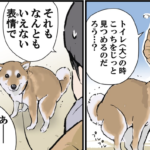 犬がトイレをしている時飼い主さんの目をじっと見つめる理由に・・「かわいい(笑)」「笑った」