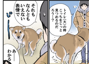 犬がトイレをしている時飼い主さんの目をじっと見つめる理由に・・「かわいい（笑）」「笑った」