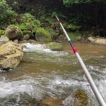 「これはもう宝石です」投稿された川で釣れた魚が綺麗すぎて・・・