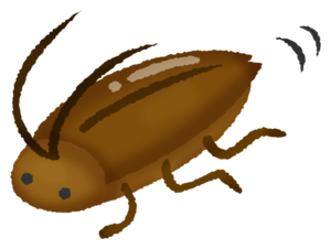 おぉぉお〜！いいもの見つけた♪ 虫を触らずに逃すことができるという革命アイテムがこちら！