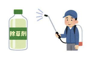 ドラッグストアで売られていた『環境にやさしい除草剤』→成分を見てみたら・・えっ