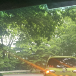 峠を下ってたらハザードも点けずに止まってる車が。何かと思ったら・・・えぇっ