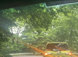 峠を下ってたらハザードも点けずに止まってる車が。何かと思ったら・・・えぇっ