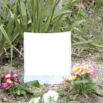 「絶望に打ちひしがれた張り紙が」→見てみたら・・・これは涙がでる。。