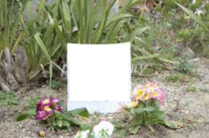 「絶望に打ちひしがれた張り紙が」→見てみたら・・・これは涙がでる。。