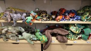 「イカのぬいぐるみが欲しい」と駄々をこねる息子をいなしてたら、突如職員さんが現れ・・・えぇっ？！