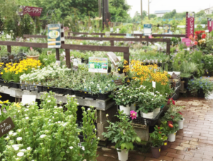 屋外の園芸コーナーに横たわる老人。『やばい人』と思いながらも店員に報告したら・・・ひぇ