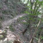 『遭難時に下山を試みてはいけない理由は・・・』→イラストに「背筋が凍った。。」「知らなかった」