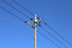 「東京都怖い」→見てみると、電線を歩いていたのは・・・えぇっ