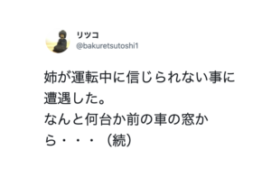 道路を走行中、窓から何かを投げ捨てた前方車。ゴミかと思ったら・・・「恐ろしくて鳥肌がたった」