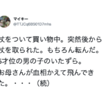 買い物中、小さな男児に突然後ろから杖を取られ転倒した女性。→母親が血相を変えて飛んできて・・・え?