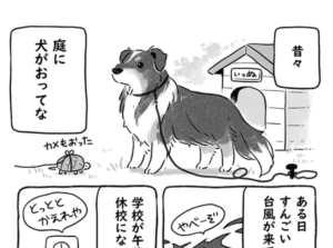 ものすごい台風の中、犬を庭に出したままにしていたら・・・飛び込んできた光景にゾッとした。