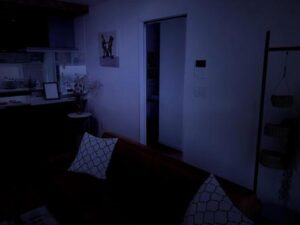 寝ていると、深夜2時にリビングから「あけてください…あけてくださァい……」と言う声が聞こえてきて飛び起きると・・・