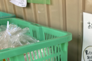 「悲しい。 一応通報しました。」→投稿された一枚の画像に・・・言葉もない。。