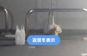 「爆発寸前みたいな犬が繋がれてた」→投稿された動画を見たら・・・えっ