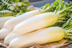 農家が教える『最大で４ヶ月持つ大根の保存方法』がスゴすぎる・・・