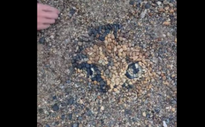 この完成度はエグすぎる！小石で描くモザイクアート