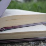 本を外出先で読もうと持って出るけど、結局読まずに持ち帰る現象に名前がついた!
