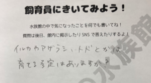 「水族館にアザラシやイルカを育てる予定はありますか？」との来館者の質問に飼育員がまさかの回答！